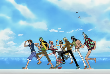 Crazy Rainbow | One Piece Wiki | Fandom