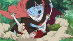 Jinbe vs Rufy Amazon Lily