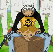 Kalp Korsanları'nın kaptanı, Trafalgar Law