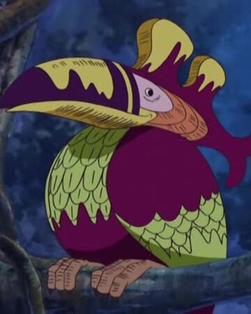 指南鳥 航海王wiki Fandom