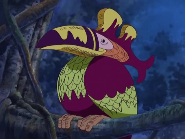 指南鳥 航海王wiki Fandom 指南鳥 航海王wiki Fandom