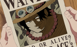 Portgas D Ace One Piece Wiki Fandom