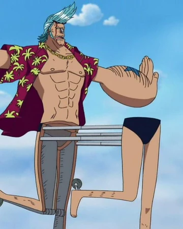 Franky Kentauros Onepiecepedia Fandom