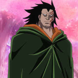 Category Will Of D One Piece Wiki Fandom