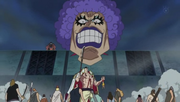 Face growth hormone