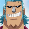 Franky Pre Timeskip Anime Portrait