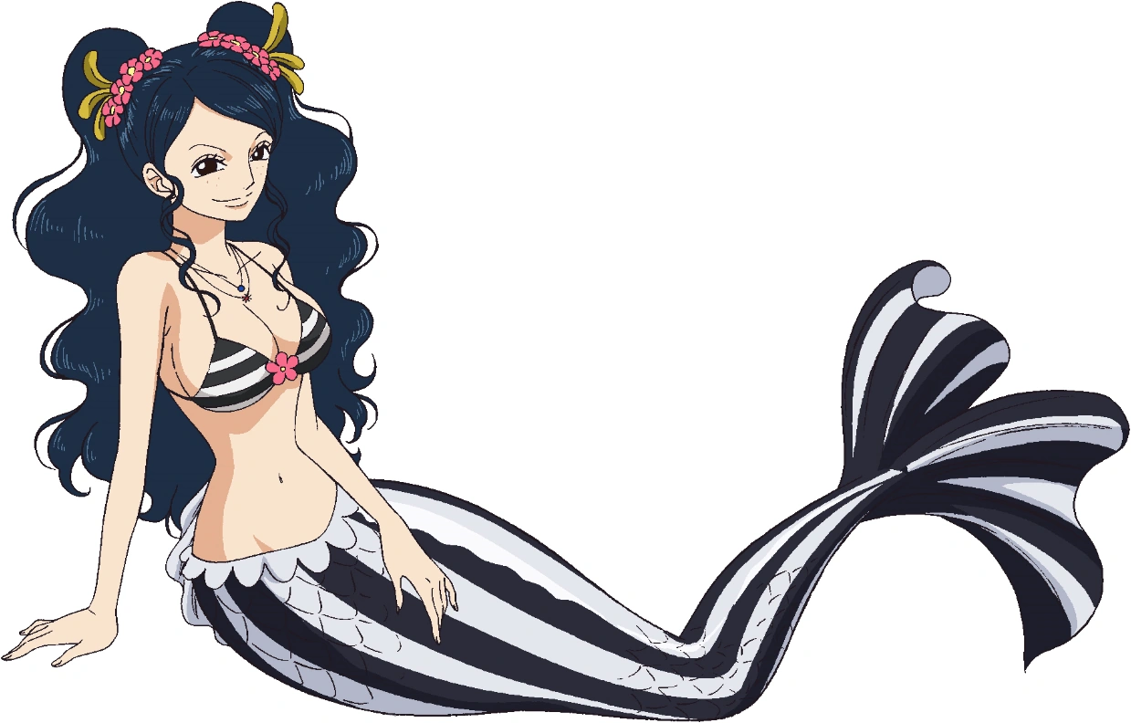 Ishilly | One Piece Wiki | Fandom