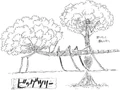 Big Tree Concept Art
