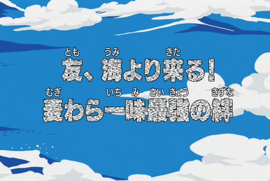 One Piece: Episode 307  animemiz's scribblings..