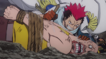 All Hunt Grount One Piece Wiki Fandom