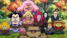 Los Nueve Vainas Rojas de jóvenes