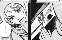 Shinobu One Piece Wiki Fandom