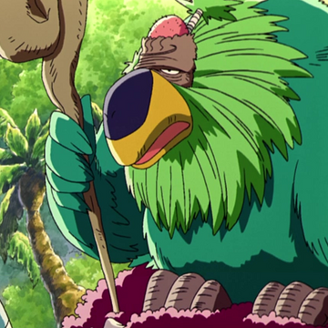 Bald Parrot One Piece Wiki Fandom