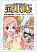 Funimation Season 9 Voyage 2 DVD Cover