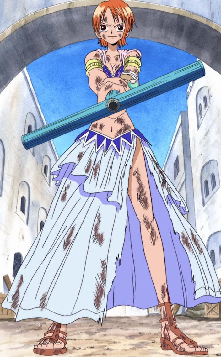 Nami/History, One Piece Wiki