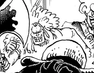 onepiece.fandom.com