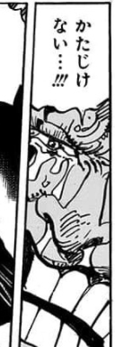Volume 99 One Piece Wiki Fandom Volume 99 One Piece Wiki Fandom