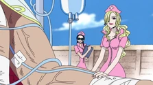 Whitebeard's Nurses.png