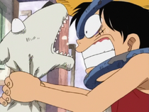 Chouchou One Piece Wiki Fandom Chouchou One Piece Wiki Fandom