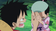 Alianza entre Luffy y Momonosuke