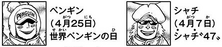 SBS81 Birthday 2.png