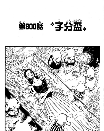 Chapter 800 One Piece Wiki Fandom