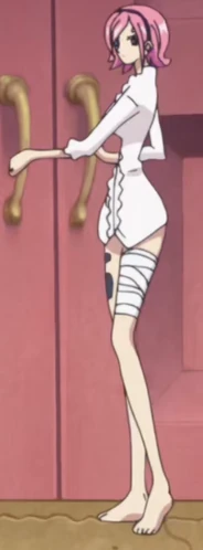 Vinsmoke Reiju | OnePiecePedia | Fandom