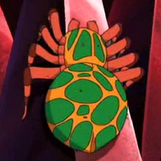 Araña de Impel Down