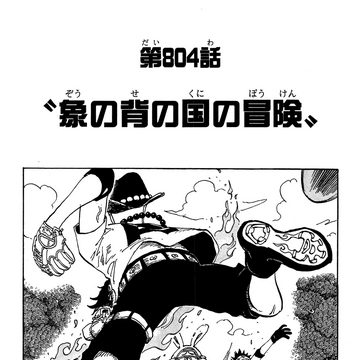 Chapter 804 One Piece Wiki Fandom