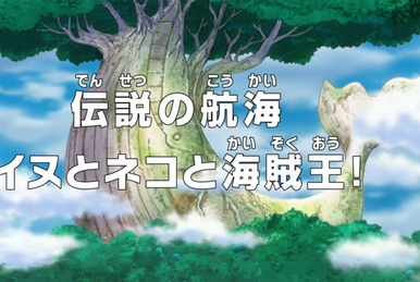 Wanda - One Piece Episode 775