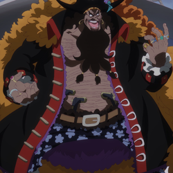 One Piece: Seven Warlords of the Sea / Characters - TV Tropes