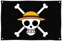 Will you pull off a daring escape as a Straw Hat pirate, or bring orde, ONE PIECE