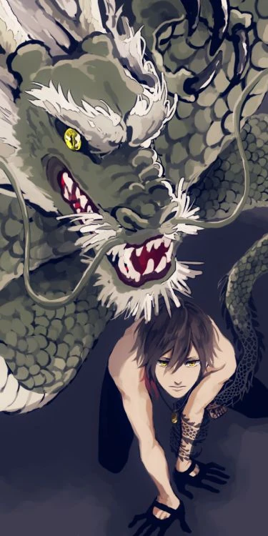 Irezumi Irezumi No Mi One Piece Fan Fiction Wiki Fandom