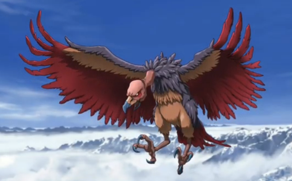 Tori Tori no Mi, Model Vulture OnePiece Fanon Wiki Fandom