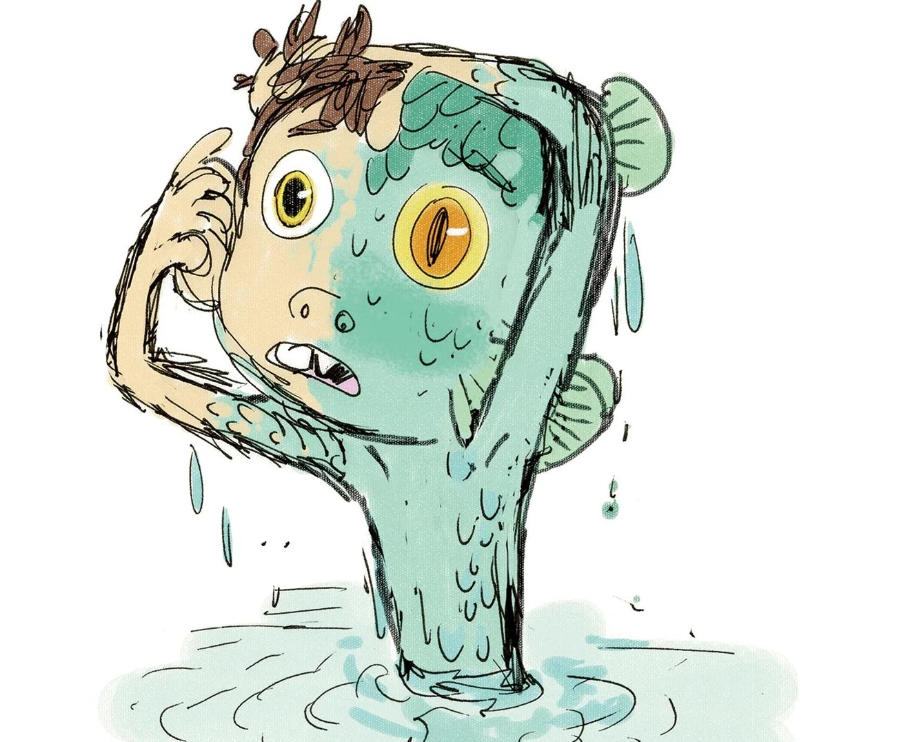 Selkies | OnePiece Fanon Wiki | Fandom