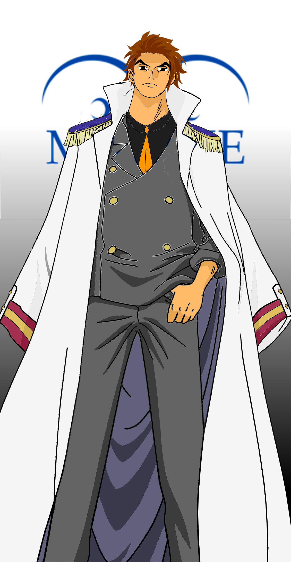 Vice Admirals and Admirals Sleeves : r/OnePiece