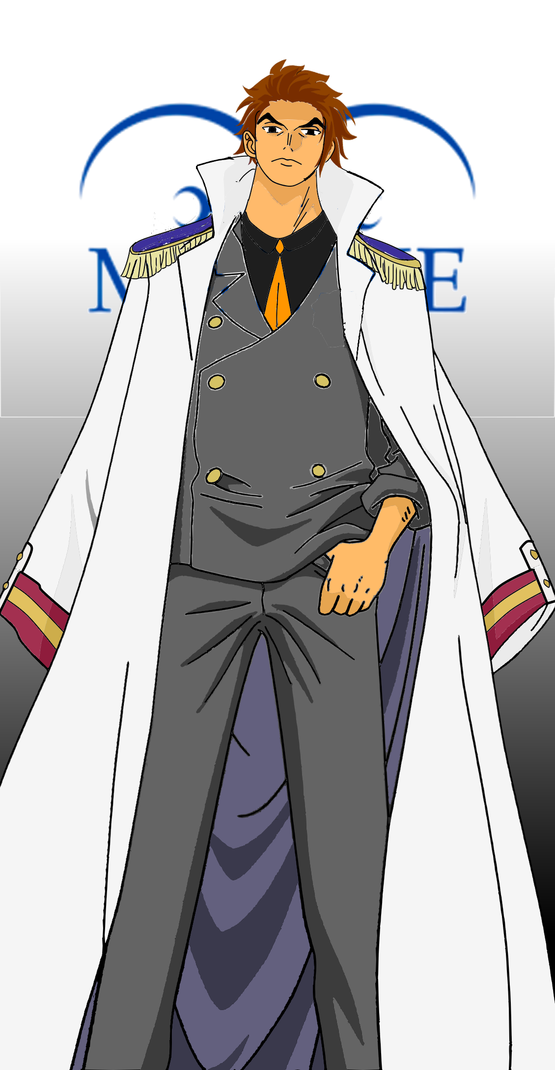 Rokushiki/Rankyaku, OnePiece Fanon Wiki