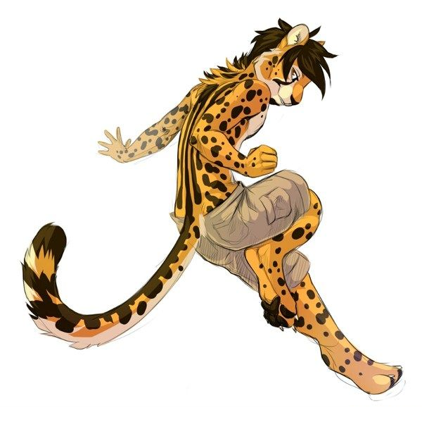 Neko Neko ni Mi, Model: Leopard in One Piece