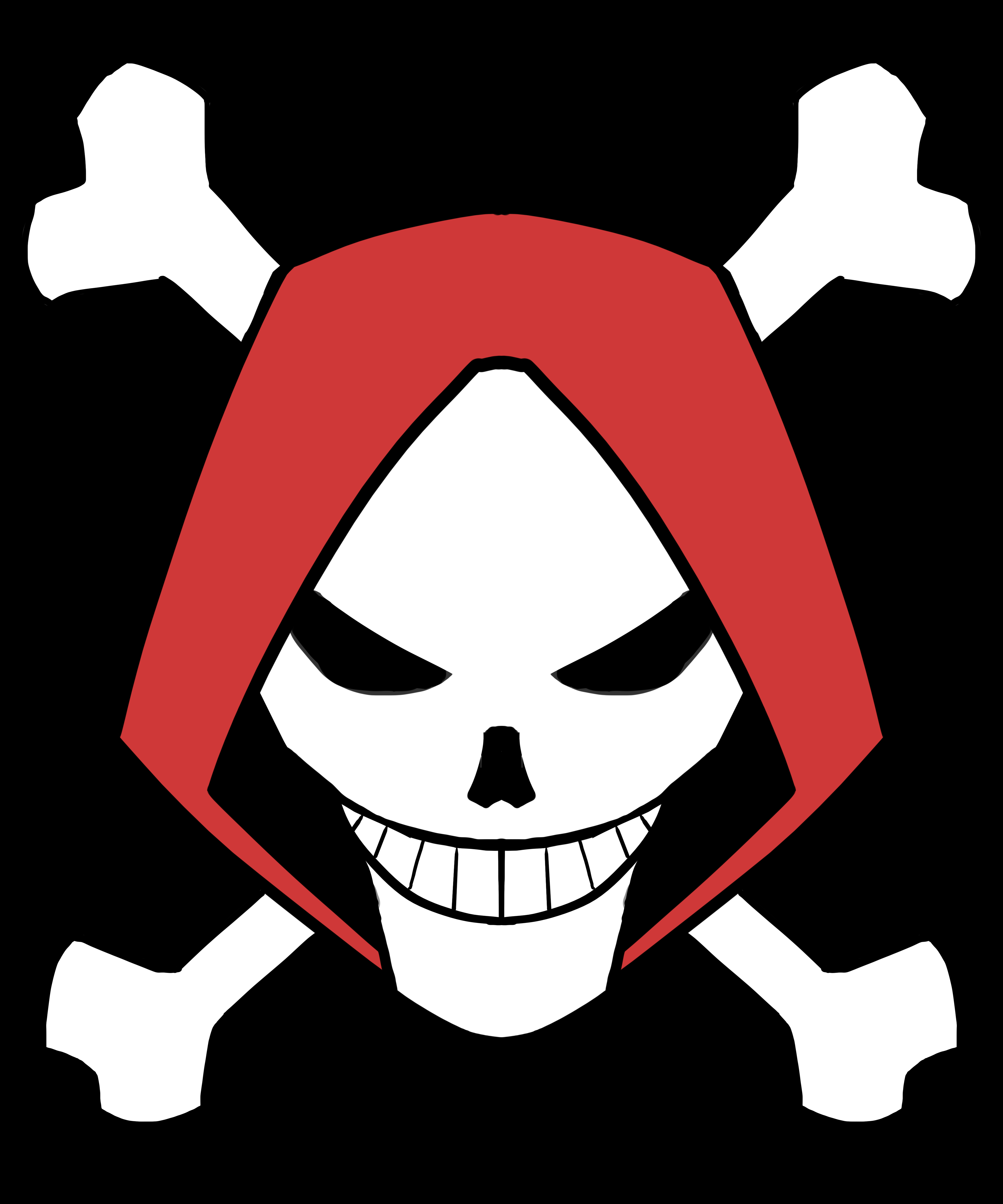 one piece pirate logo