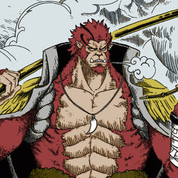 Haoshoku Haki / Conqueror, Project: One Piece Wiki