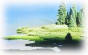SkyIslandNewFade.jpg