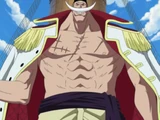 Whitebeard