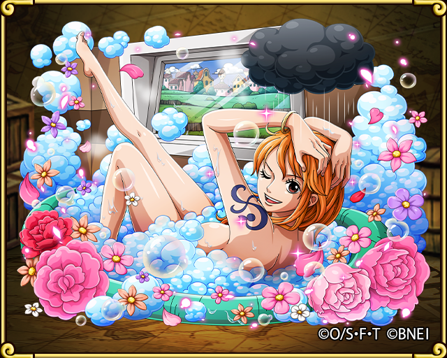 The Strawhat Pirates: Cat Burglar NAMI