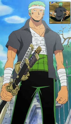 Zoro Roronoa, The Fairy One Piece Tail Universe Wiki