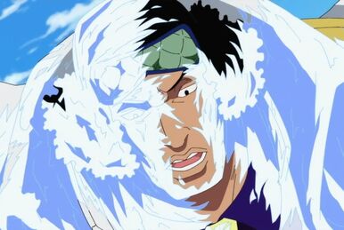 Reply to @jacob125b ano next?#hiehienomi#kuzan#ice#onepiece#edit