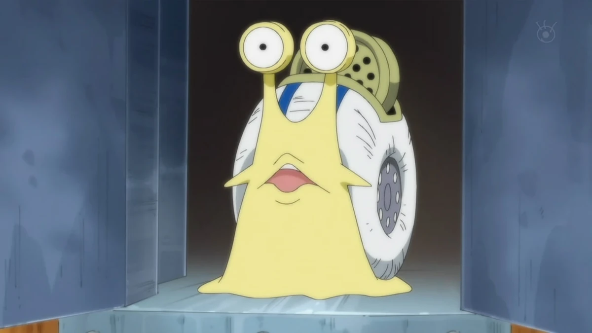 Transponder Snail One Piece x Fairy Tail Wiki Fandom
