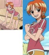 Nami's outfit in the Baratie Arc.