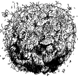 Aggregation