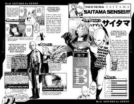 Saitama Databook (Real Saitama by Genos).