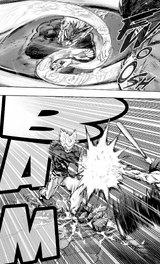 Garou countering Metal Bat's Savage Tornado